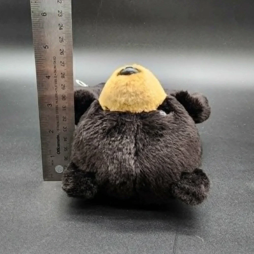 Demdaco black bear